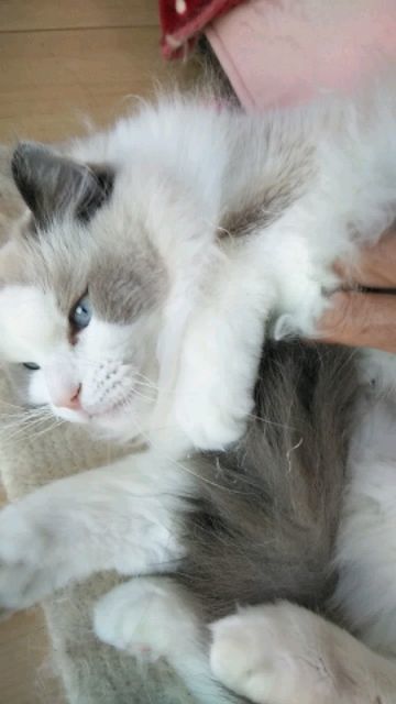 DSC_1162.JPG