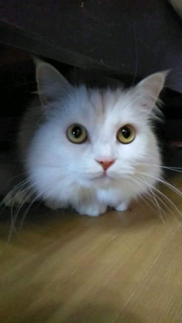 DSC_1166.JPG
