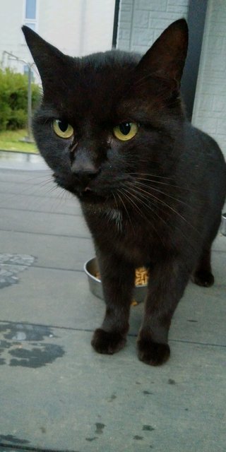 DSC_1323.JPG
