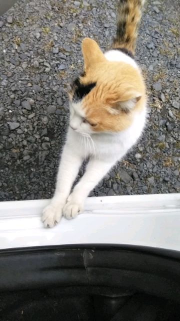 DSC_3011.JPG
