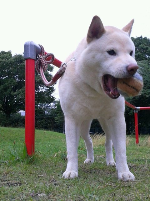 DSC_8873.JPG