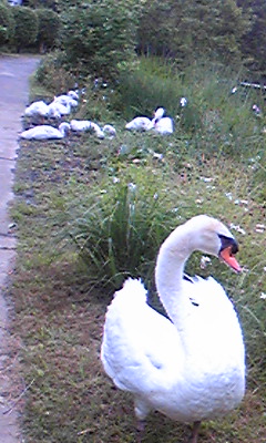 100621_064531.jpg