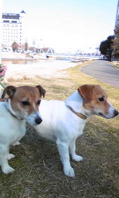 110405_151231.jpg
