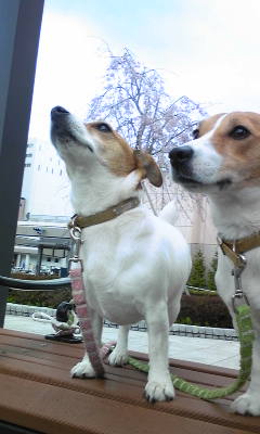 110419_150040.jpg