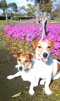 110425_151948.jpg