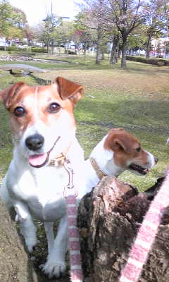 110428_150359.jpg