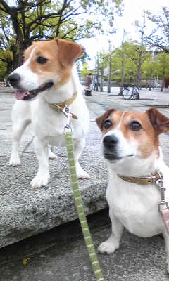 110524_124809.jpg