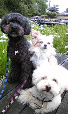 110528_160724.jpg