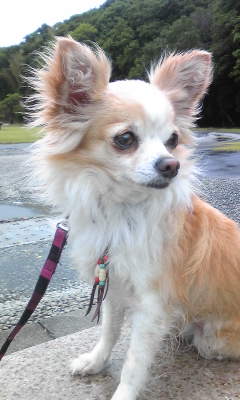 110530_094810.jpg