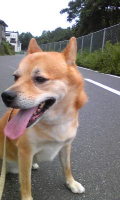 110826_150608.jpg