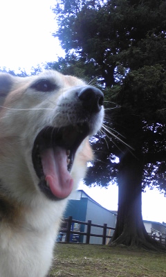 111015_081536.jpg