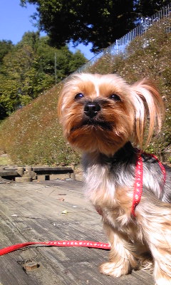 111028_094303.jpg