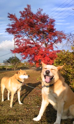 111123_152055.jpg