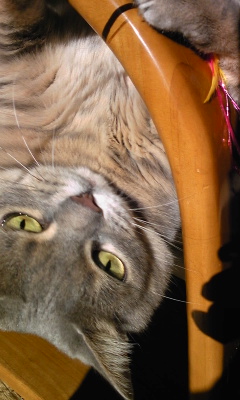 111125_100513.jpg