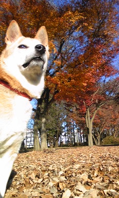 111213_141359.jpg