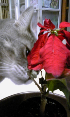 111214_091655.jpg