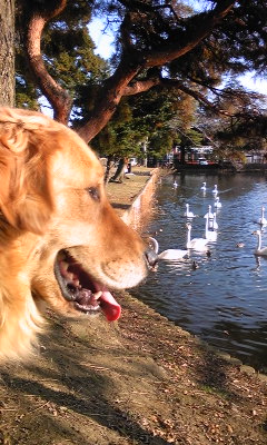 111215_141940.jpg
