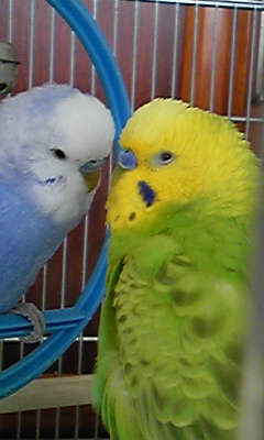 120102_114210.jpg