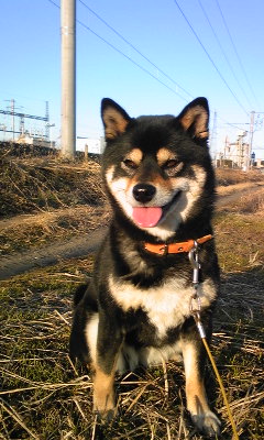 120107_154214.jpg