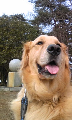 120301_132137.jpg