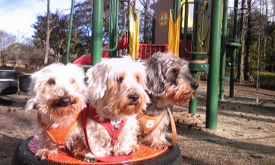 120325_072445.jpg