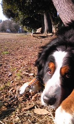 120326_161546.jpg