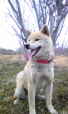 120330_064223.jpg