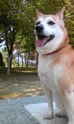 120528_133234.jpg