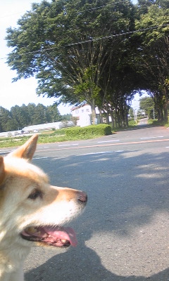 120608_153315.jpg