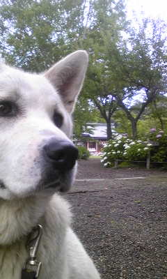 120623_063108.jpg
