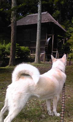 120624_152317.jpg