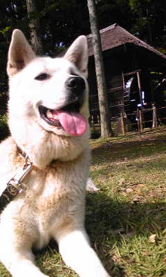 120624_152532.jpg