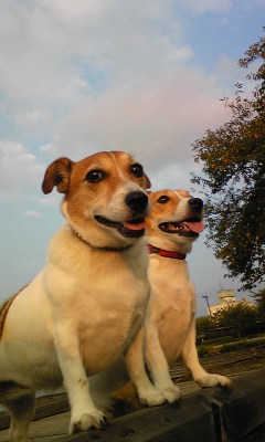 121007_161915.jpg