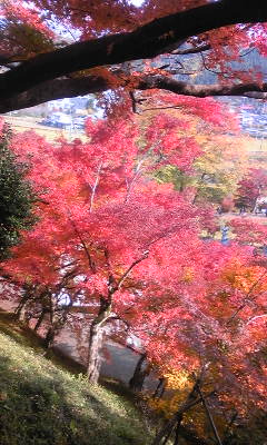 121113_101544.jpg