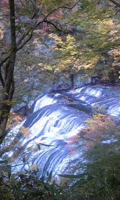 121113_123202.jpg