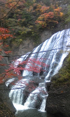 121113_124201.jpg