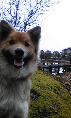 130219_074502.jpg