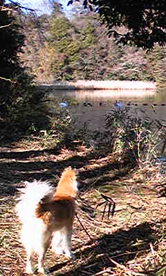 130220_084448.jpg