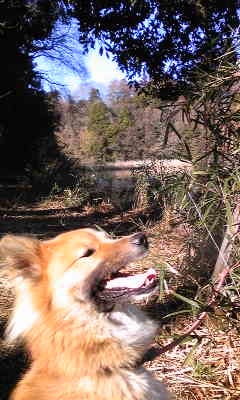 130220_084306.jpg