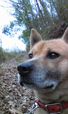 130330_131843.jpg