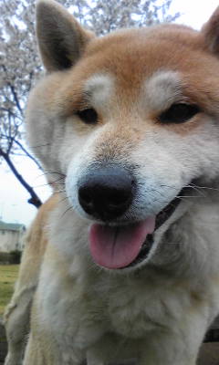 130402_103121.jpg