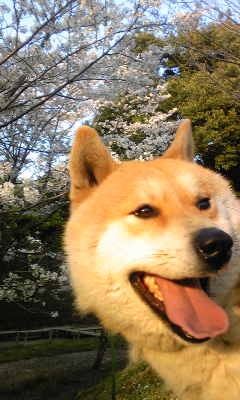130404_170333.jpg