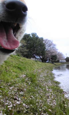 130407_083641.jpg