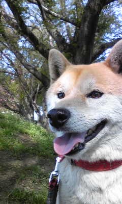 130416_085015.jpg