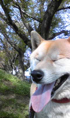130416_085034.jpg