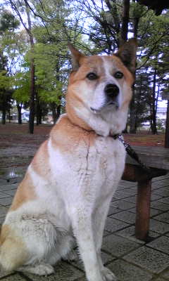 130421_085257.jpg