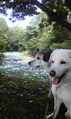 130621_073531.jpg