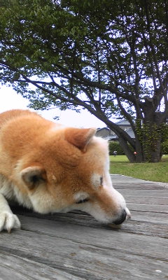 130713_101859.jpg