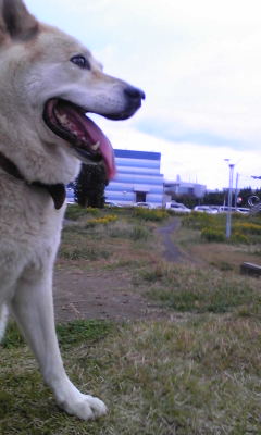 131104_153505.jpg