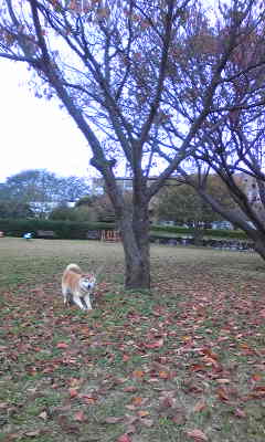 131110_085644.jpg